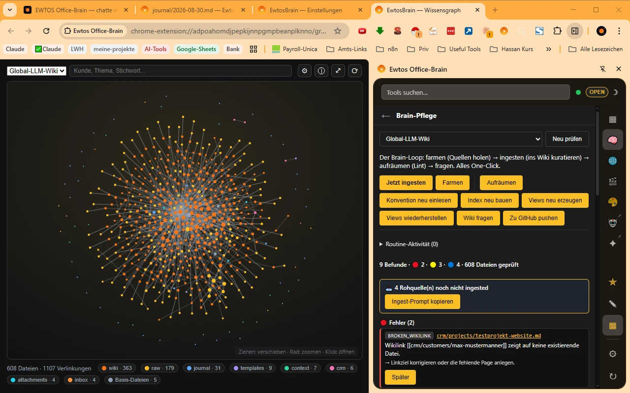 Wissensgraph des Vaults neben der Brain-Pflege mit gefundenen Befunden